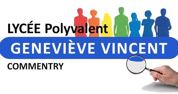 Logo mini stage 2026.jpg